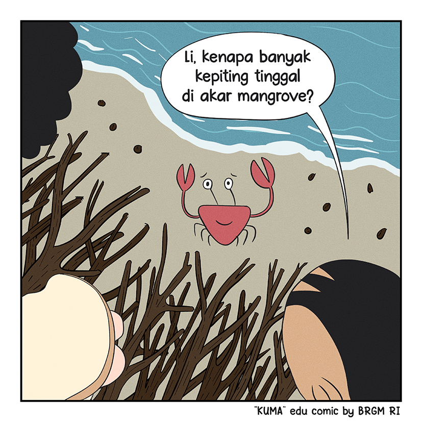 Image 1 - 19
